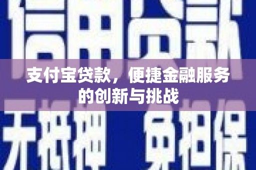 嘉兴支付宝贷款，便捷金融服务的创新与挑战