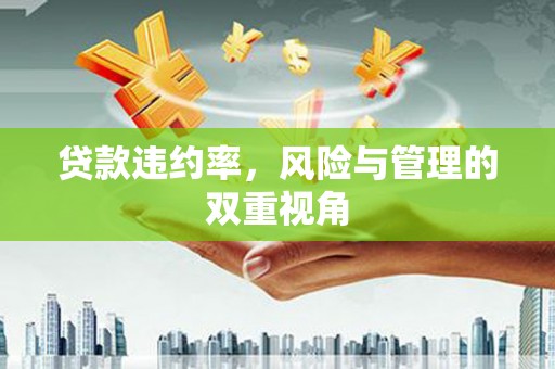 嘉兴贷款违约率，风险与管理的双重视角