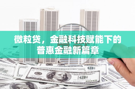嘉兴微粒贷，金融科技赋能下的普惠金融新篇章