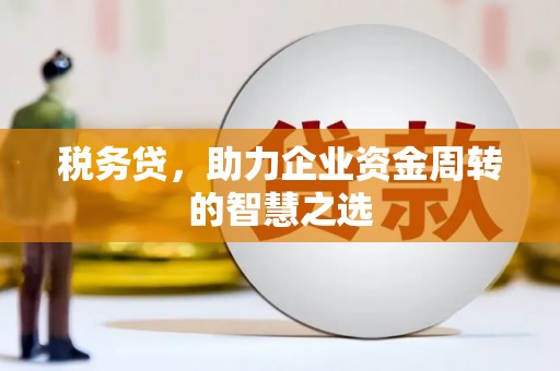 嘉兴税务贷，助力企业资金周转的智慧之选
