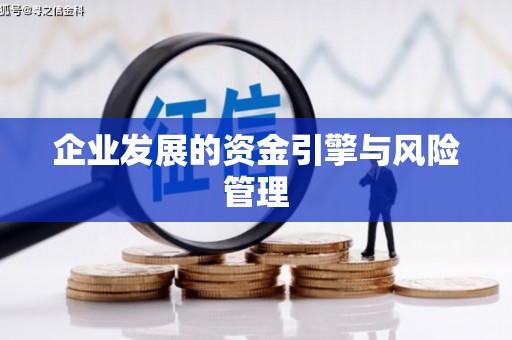 嘉兴企业发展的资金引擎与风险管理