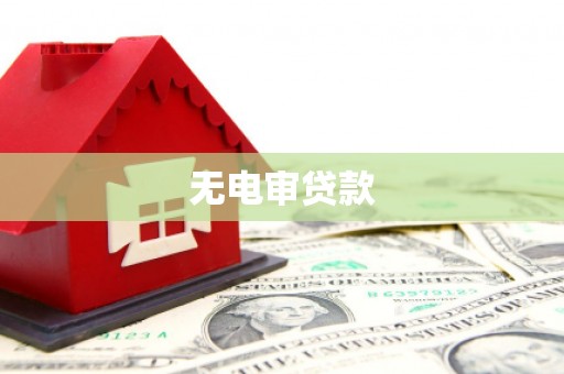 嘉兴无电审贷款