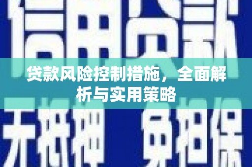 嘉兴贷款风险控制措施，全面解析与实用策略