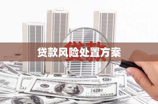 嘉兴贷款风险处置方案