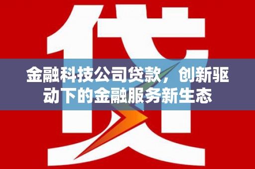 嘉兴金融科技公司贷款，创新驱动下的金融服务新生态