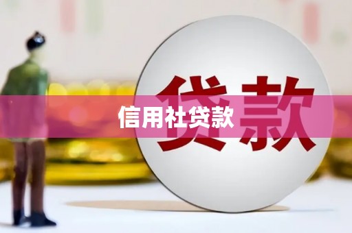 嘉兴信用社贷款