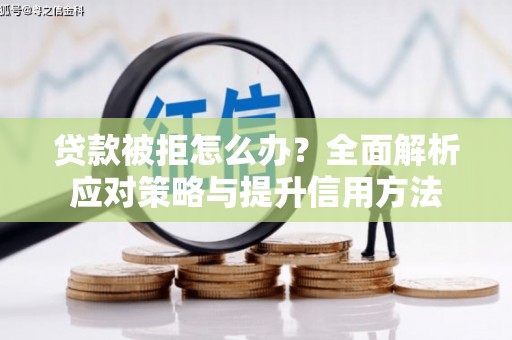 嘉兴贷款被拒怎么办？全面解析应对策略与提升信用方法