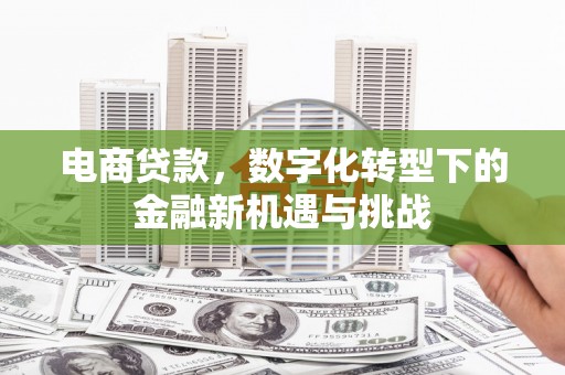 嘉兴电商贷款，数字化转型下的金融新机遇与挑战