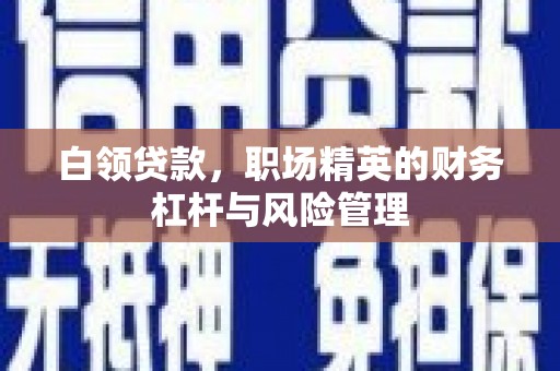 嘉兴白领贷款，职场精英的财务杠杆与风险管理
