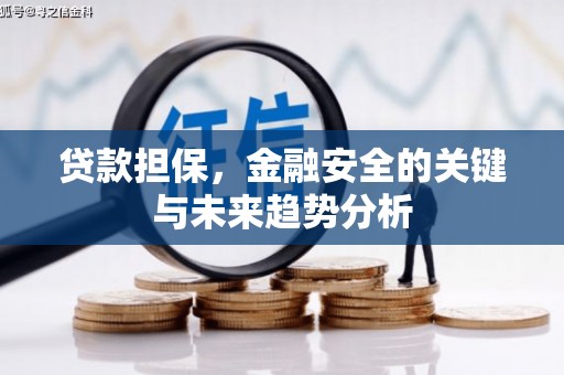 嘉兴贷款担保，金融安全的关键与未来趋势分析