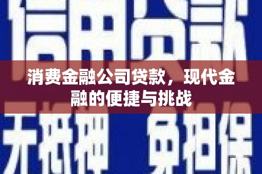 嘉兴消费金融公司贷款，现代金融的便捷与挑战