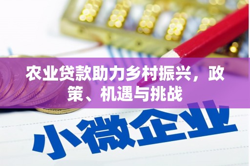 嘉兴农业贷款助力乡村振兴，政策、机遇与挑战