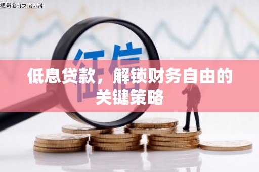 嘉兴低息贷款，解锁财务自由的关键策略