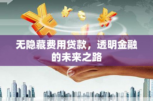 嘉兴无隐藏费用贷款，透明金融的未来之路