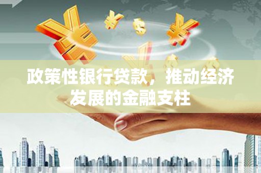 嘉兴政策性银行贷款，推动经济发展的金融支柱