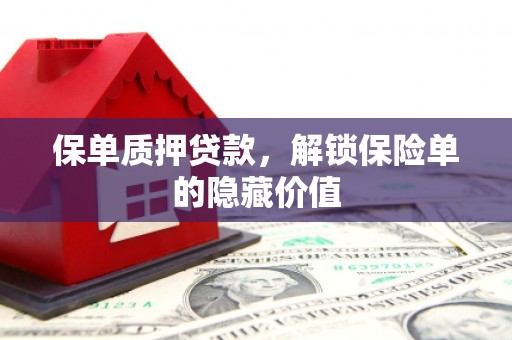 嘉兴保单质押贷款，解锁保险单的隐藏价值