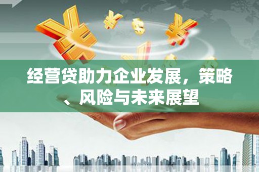 嘉兴经营贷助力企业发展，策略、风险与未来展望