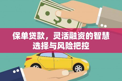 嘉兴保单贷款，灵活融资的智慧选择与风险把控
