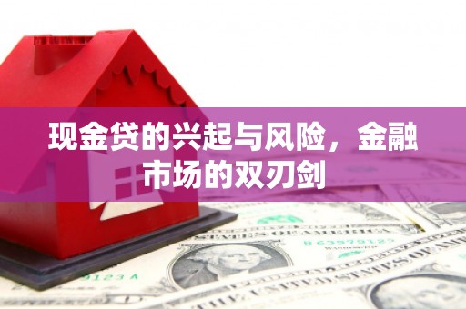 嘉兴现金贷的兴起与风险，金融市场的双刃剑