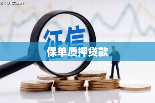嘉兴保单质押贷款