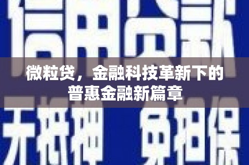 嘉兴微粒贷，金融科技革新下的普惠金融新篇章