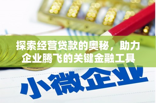 嘉兴探索经营贷款的奥秘，助力企业腾飞的关键金融工具