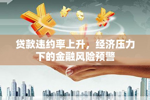 嘉兴贷款违约率上升，经济压力下的金融风险预警