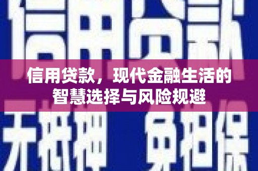 嘉兴信用贷款，现代金融生活的智慧选择与风险规避