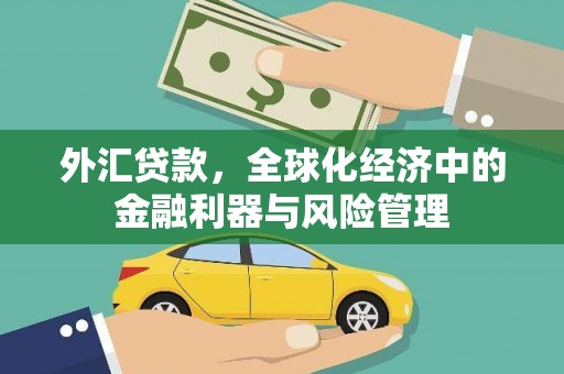 嘉兴外汇贷款，全球化经济中的金融利器与风险管理