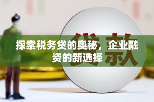 嘉兴探索税务贷的奥秘，企业融资的新选择