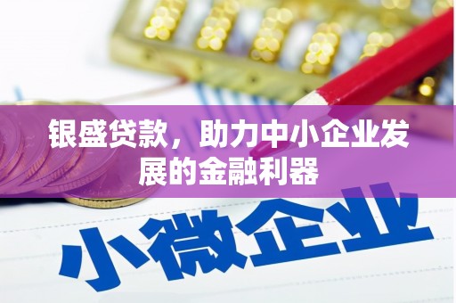 嘉兴银盛贷款，助力中小企业发展的金融利器