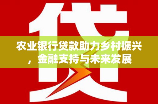 嘉兴农业银行贷款助力乡村振兴，金融支持与未来发展