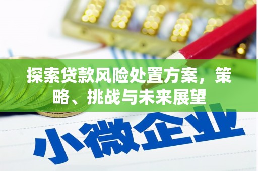 嘉兴探索贷款风险处置方案，策略、挑战与未来展望