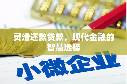 嘉兴灵活还款贷款，现代金融的智慧选择