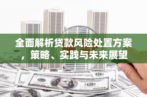 嘉兴全面解析贷款风险处置方案，策略、实践与未来展望