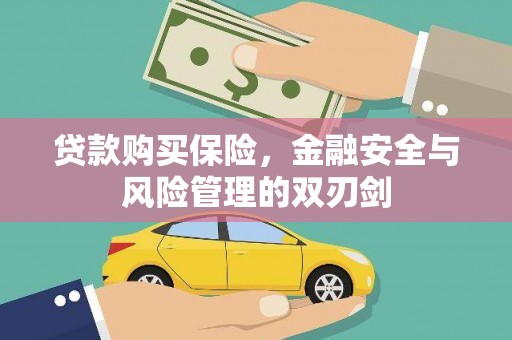 嘉兴贷款购买保险，金融安全与风险管理的双刃剑
