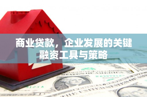 嘉兴商业贷款，企业发展的关键融资工具与策略