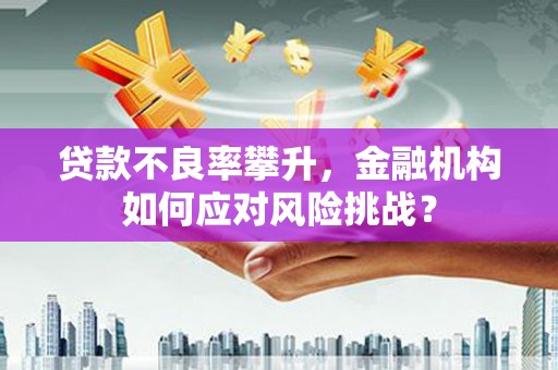 嘉兴贷款不良率攀升，金融机构如何应对风险挑战？
