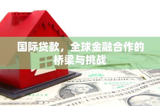 嘉兴国际贷款，全球金融合作的桥梁与挑战
