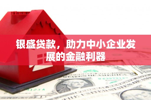 嘉兴银盛贷款，助力中小企业发展的金融利器