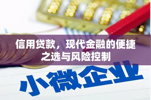 嘉兴信用贷款，现代金融的便捷之选与风险控制