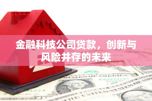 嘉兴金融科技公司贷款，创新与风险并存的未来