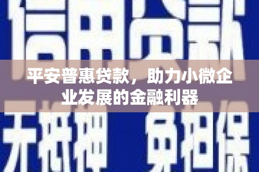 嘉兴平安普惠贷款，助力小微企业发展的金融利器