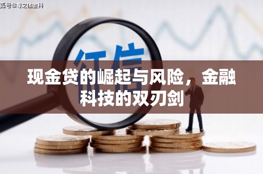 嘉兴现金贷的崛起与风险，金融科技的双刃剑
