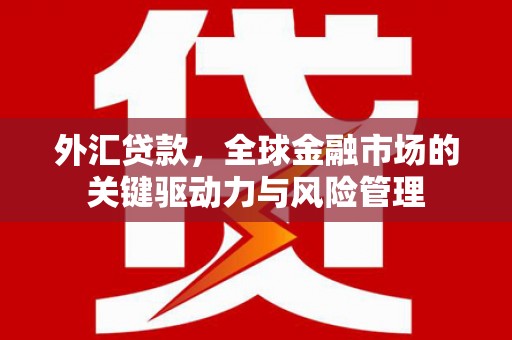 嘉兴外汇贷款，全球金融市场的关键驱动力与风险管理