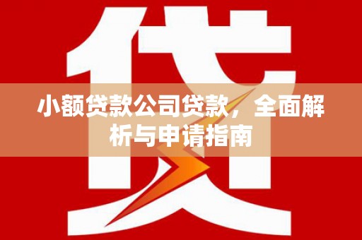 嘉兴小额贷款公司贷款，全面解析与申请指南