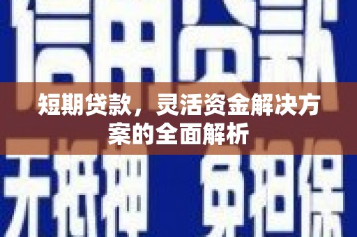 嘉兴短期贷款，灵活资金解决方案的全面解析