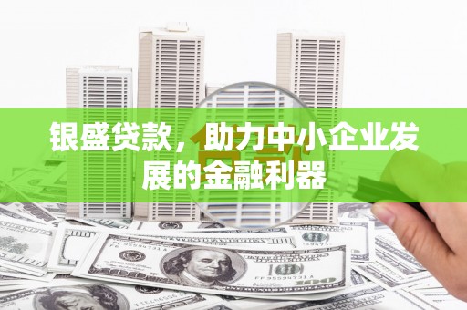 嘉兴银盛贷款，助力中小企业发展的金融利器