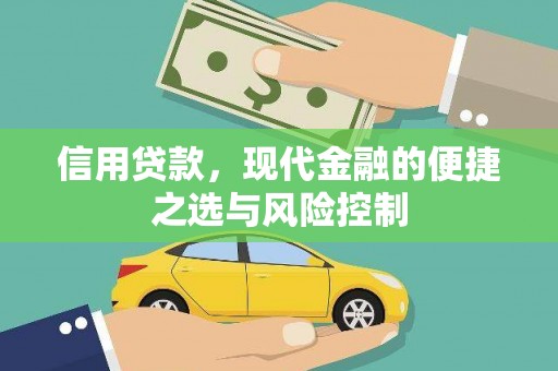 嘉兴信用贷款，现代金融的便捷之选与风险控制