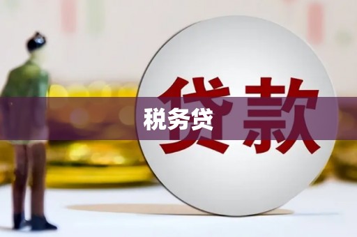 嘉兴税务贷